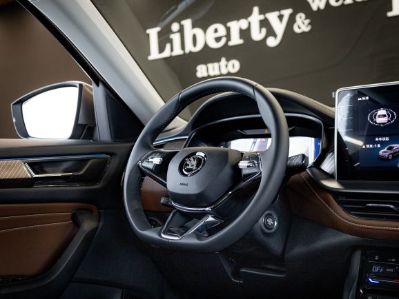 Skoda Kodiaq, 2.0 л, Робот,  фото 11