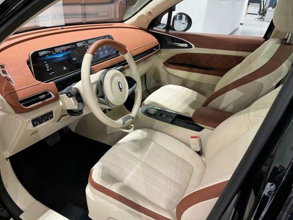 Ora 03 Premium, АТ, 2024 фото 7