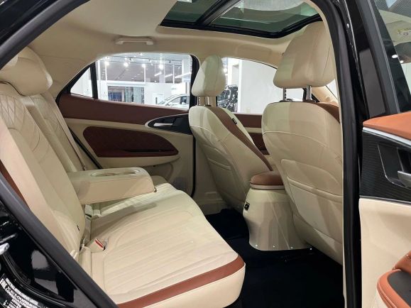 Ora 03 Premium, АТ, 2024 фото 1