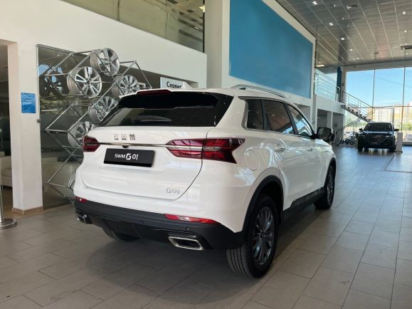 SWM G01 Style, 1.5 л, Робот, 2024 фото 6