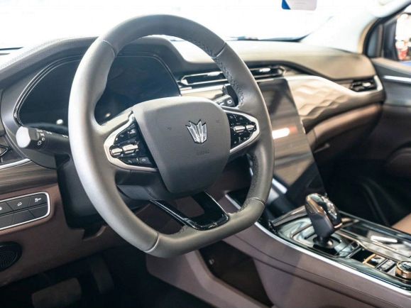 Oting Paladin Премиум, 2.0 л, АТ, 2024 фото 8