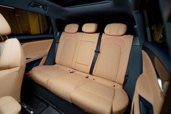 Voyah Free EVR Sport Edition, 1.5 л, АТ, 2024 фото 14