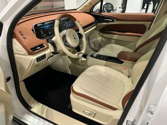 Ora 03 Premium, АТ, 2024 фото 2