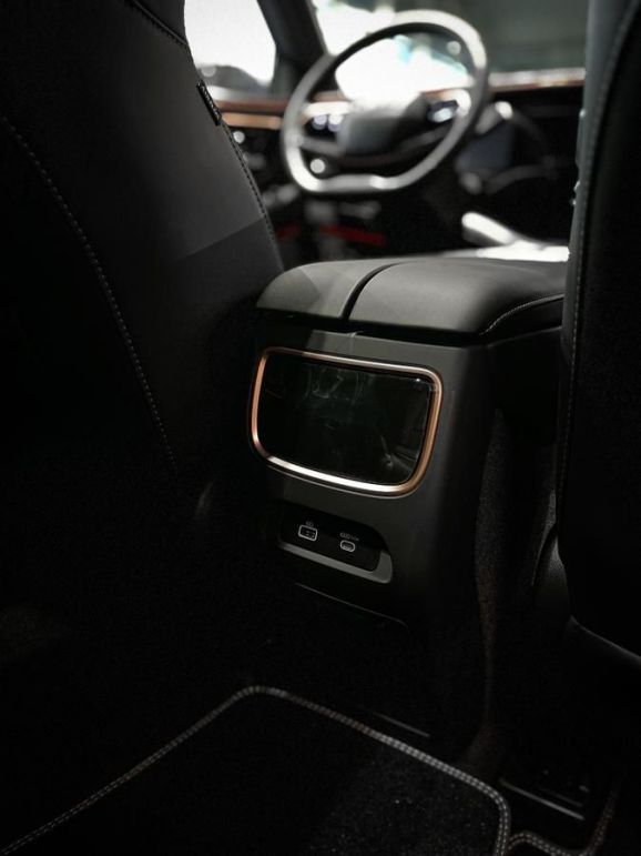 EXEED VX President 7 мест, 2.0 л, АТ, 2024 фото 9