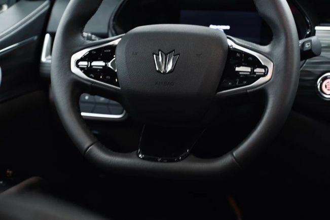 Oting Paladin Престиж, 2.0 л, АТ, 2024 фото 8