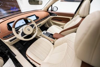 Ora 03 Premium, АТ, 2024 фото 10
