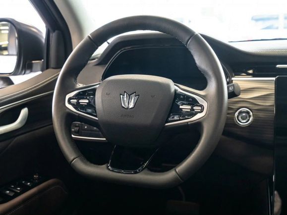 Oting Paladin Премиум, 2.0 л, АТ, 2024 фото 7