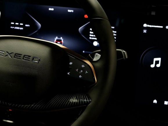 EXEED VX President 7 мест, 2.0 л, АТ, 2024 фото 9