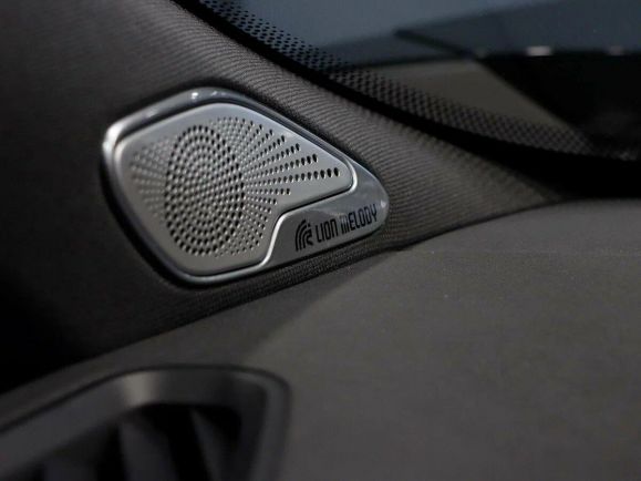 EXEED VX President 7 мест, 2.0 л, АТ, 2024 фото 12