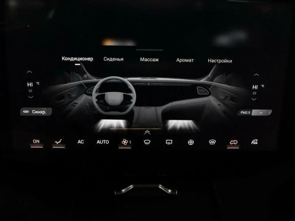 EXEED VX President 7 мест, 2.0 л, АТ, 2024 фото 11