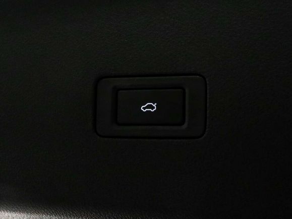 EXEED VX President 7 мест, 2.0 л, АТ, 2024 фото 21