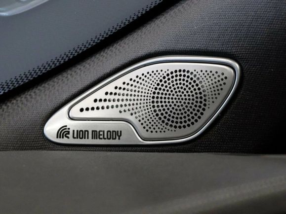 EXEED VX President 7 мест, 2.0 л, АТ, 2024 фото 22