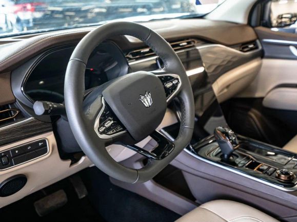 Oting Paladin Интеллект, 2.0 л, АТ, 2024 фото 8