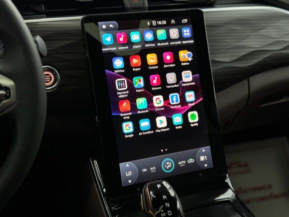 Oting Paladin Престиж, 2.0 л, АТ, 2024 фото 10