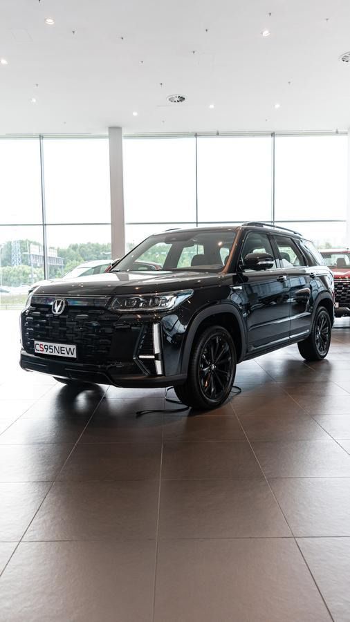 Changan CS95 Tech, 2.0 л, АТ, 2024 фото 4