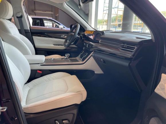 EXEED VX President, 2.0 л, Робот, 2024 фото 10