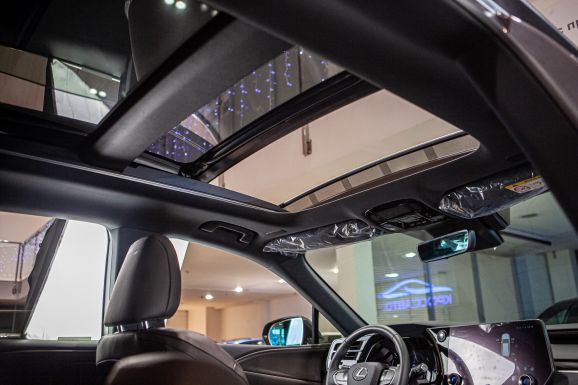 Lexus RX, АТ, 2023 фото 10